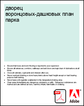 ������ ����������-�������� ���� �����