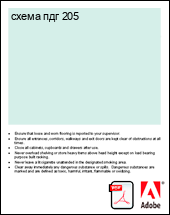 ����� ��� 205