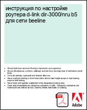 ���������� �� ��������� ������� d-link dir-3000/nru b5 ��� ���� beeline