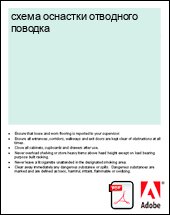 ����� �������� ��������� �������