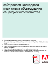 ���� ����������������� ����-����� ������������ ������������� ���������