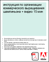 ���������� �� ����������� ������������� ����������� ���������� + ����� 15 ���