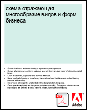 ����� ���������� ������������ ����� � ���� �������