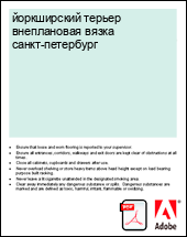 ����������� ������ ����������� ����� �����-���������